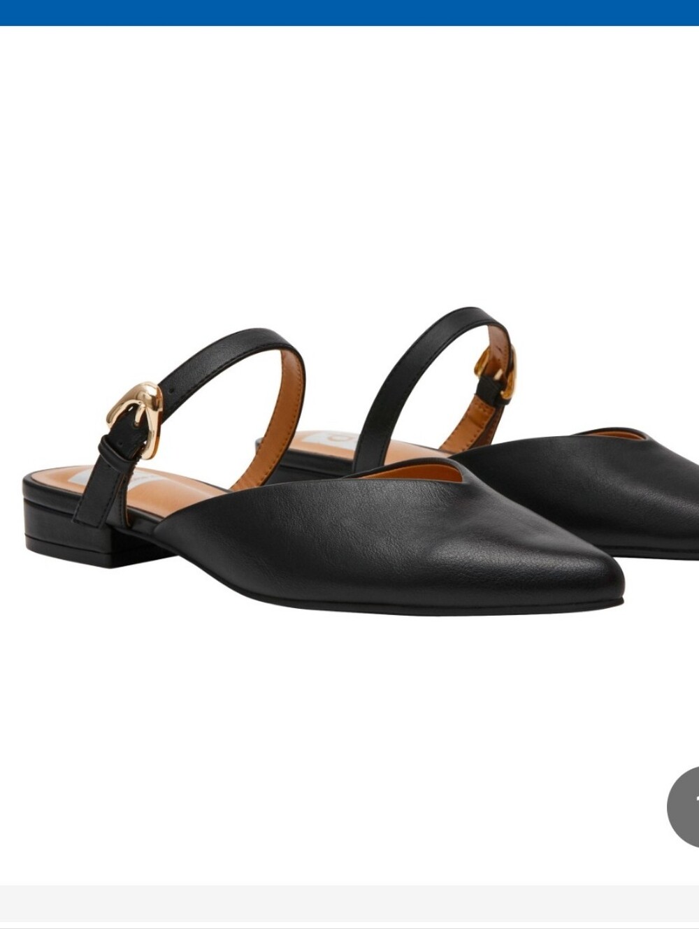 (6)DV by Dolce Vita Ladies Pointed Slingback Mules